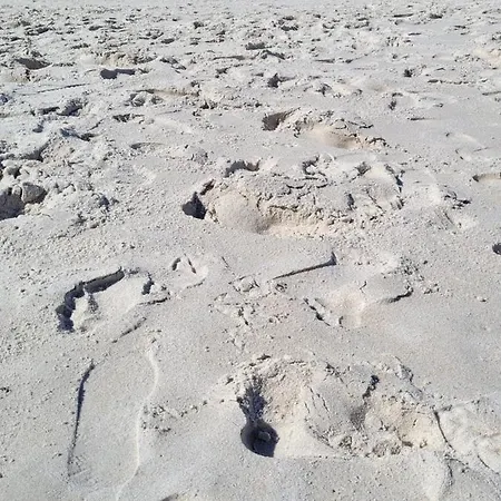 In Niebuell, Kreis Nordfriesland アパート